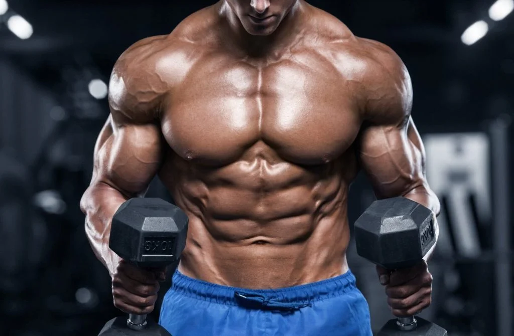 muscular hypertrophy e1666078673239 1