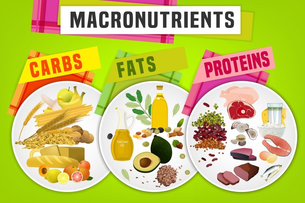 How to Reduce Body Fat by adjusting macronutrients