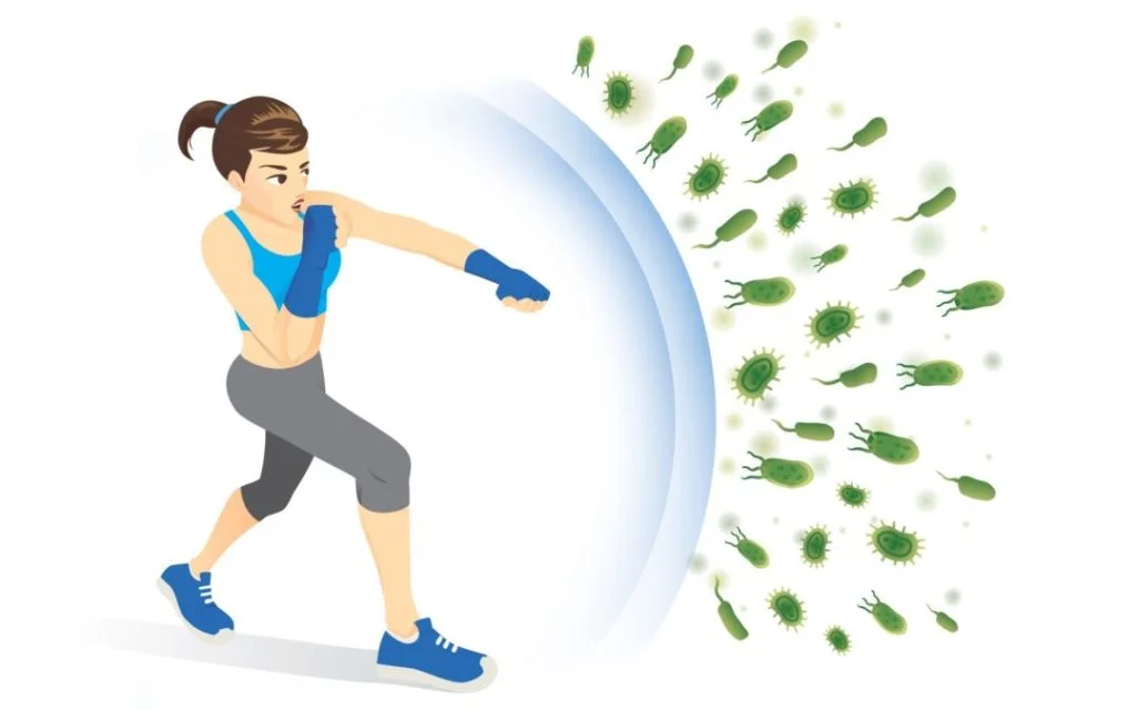 Exercising Boost Your Immune System