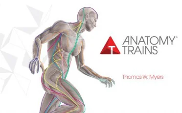product anatomy train structure function
