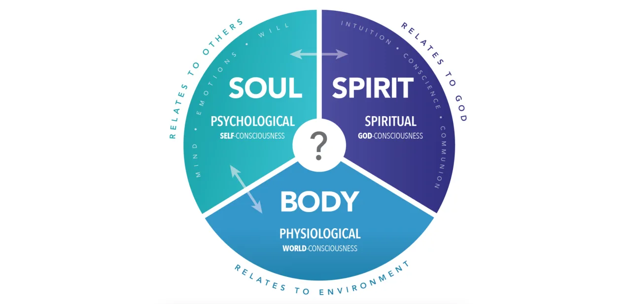 holistic fitness