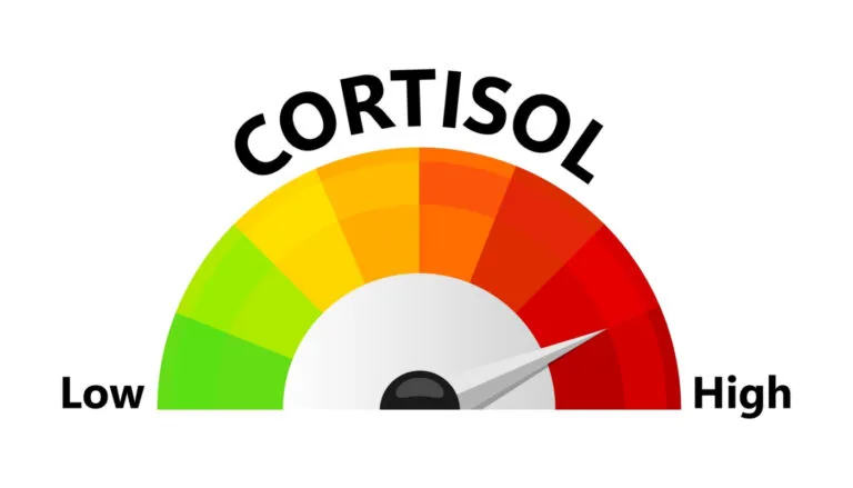 high cortisol level